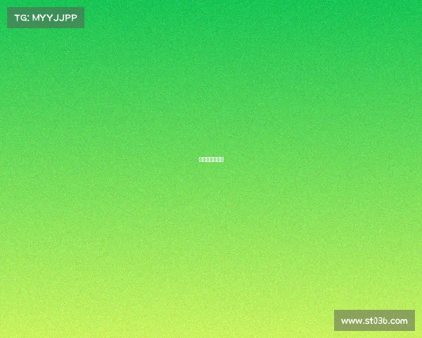 国际足联的比赛